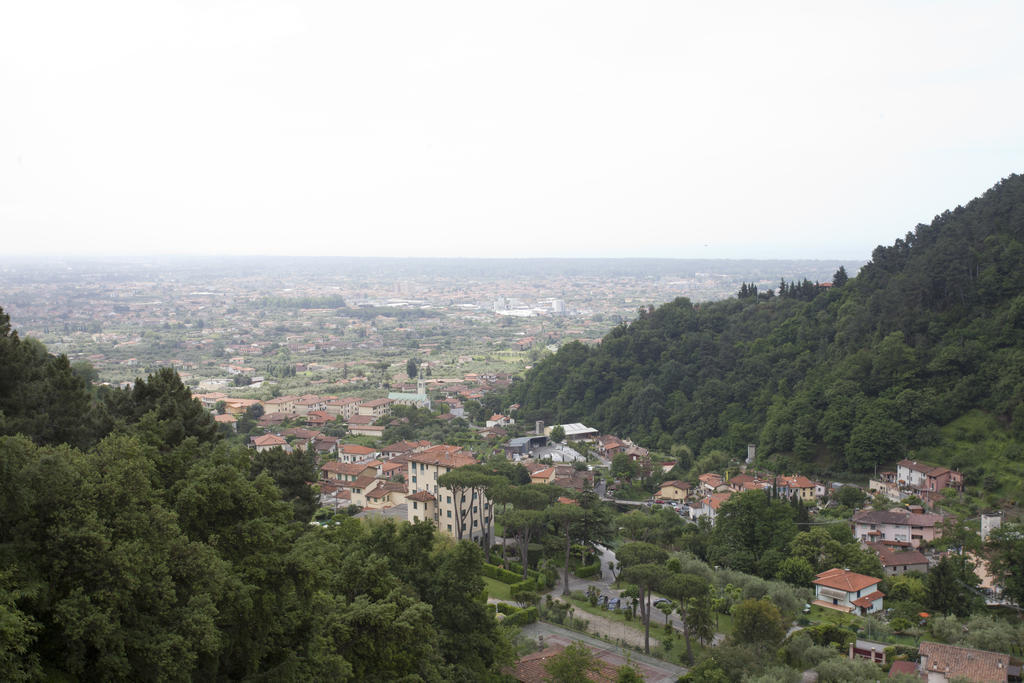 Grappolo D'Oro Hotel Pietrasanta Bagian luar foto