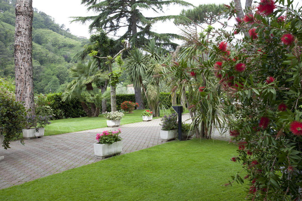 Grappolo D'Oro Hotel Pietrasanta Bagian luar foto