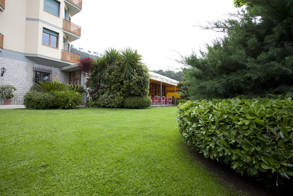 Grappolo D'Oro Hotel Pietrasanta Bagian luar foto